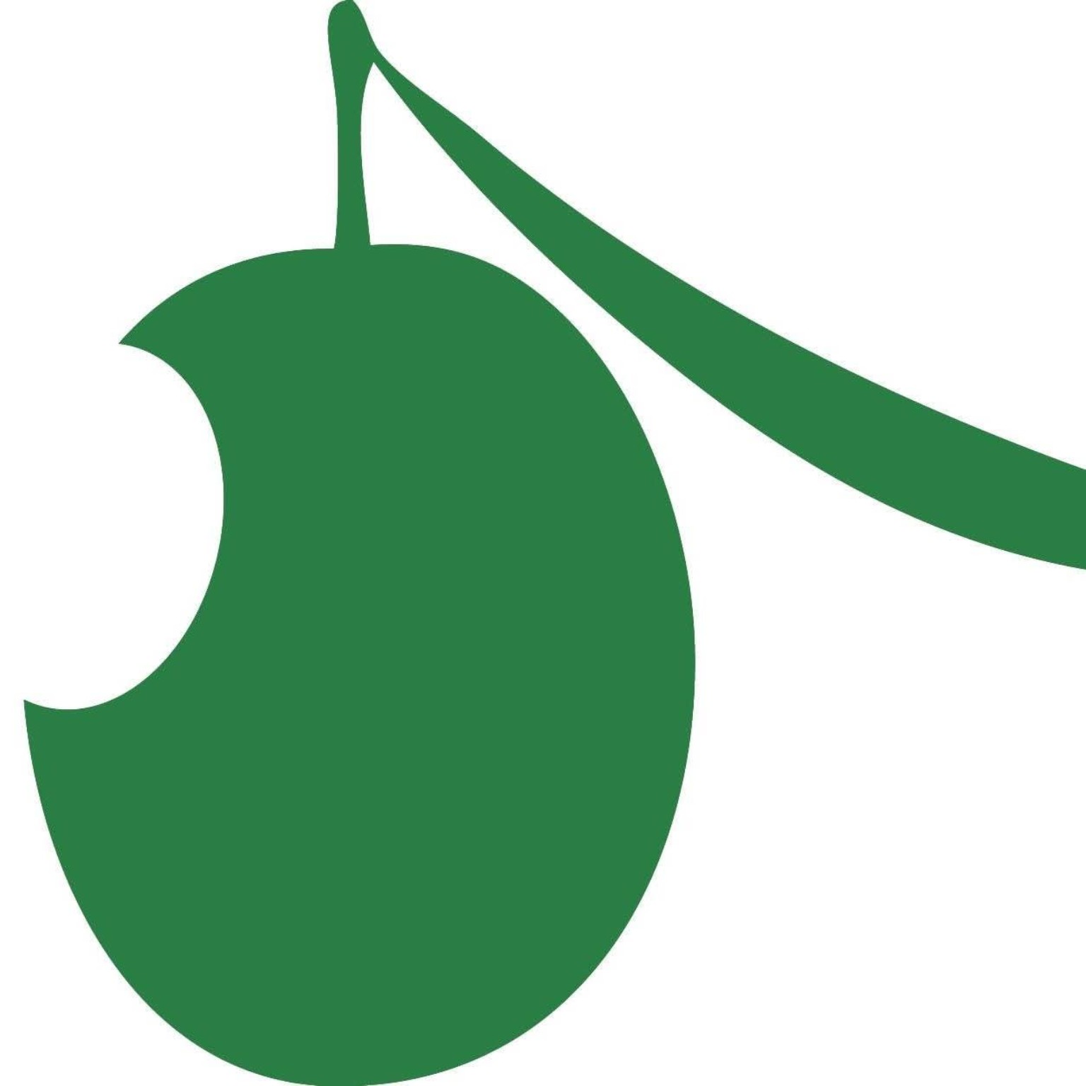 Logo de Flashwhite Digital